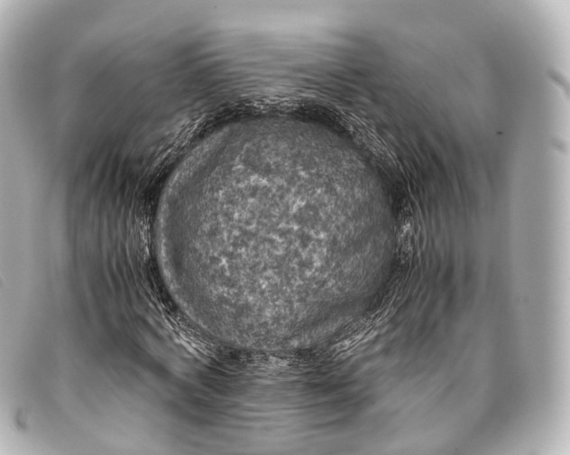 X0000093370772200710251153