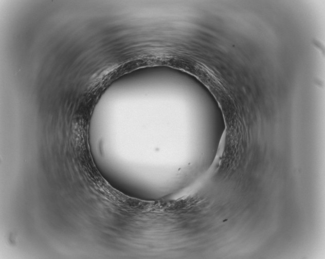 X0000093370773200710251153