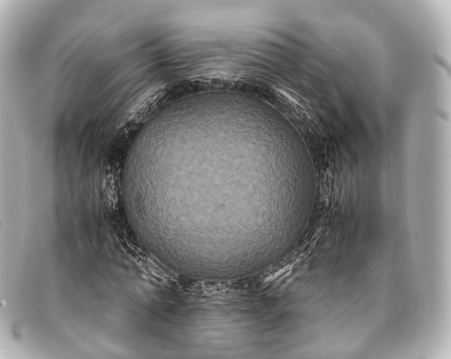 X0000093370774200710251153