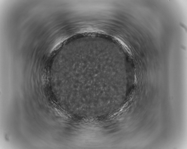 X0000093370775200710251153