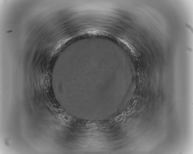 X0000093370776200710251152