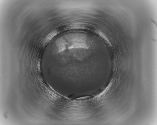 X0000093370777200710251152