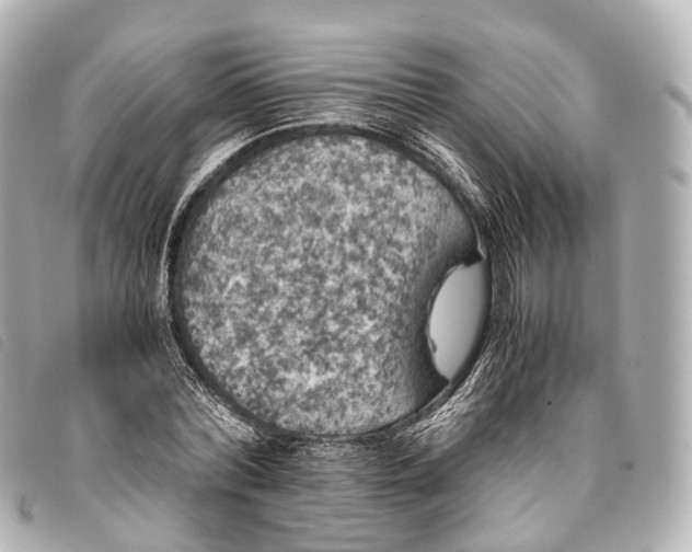 X0000093370780200710251152