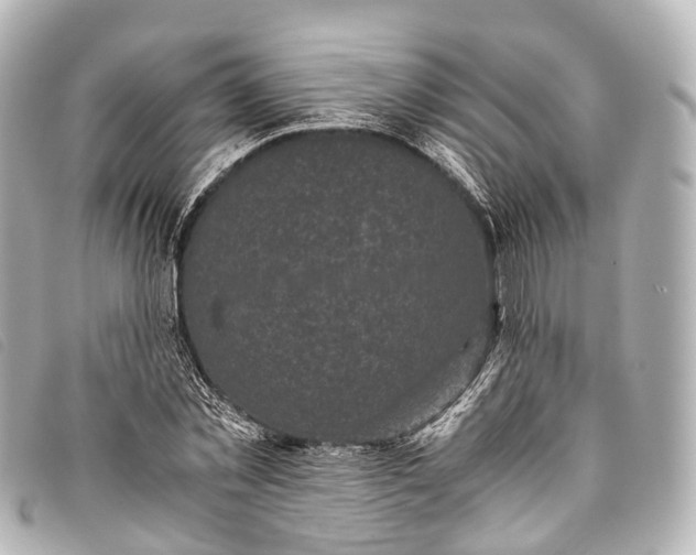 X0000093370781200710251152