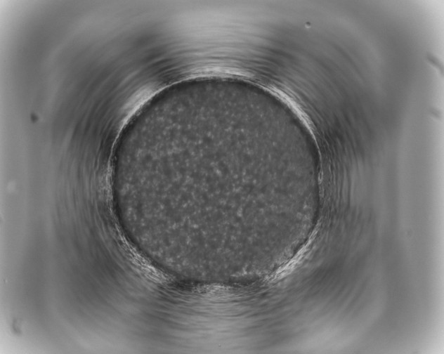 X0000093370783200710251152