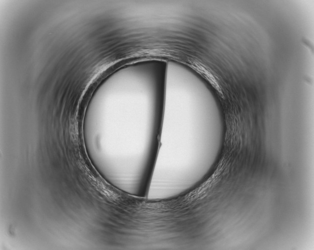 X0000093370784200710251152