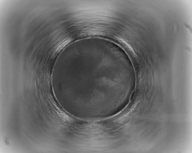 X0000093370785200710251152