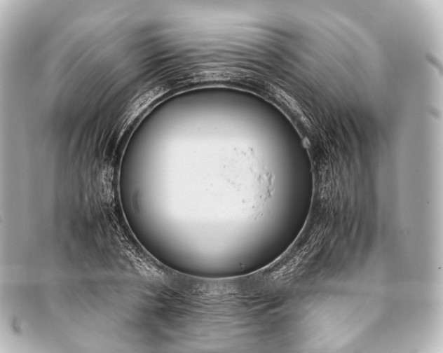 X0000093370786200710251152