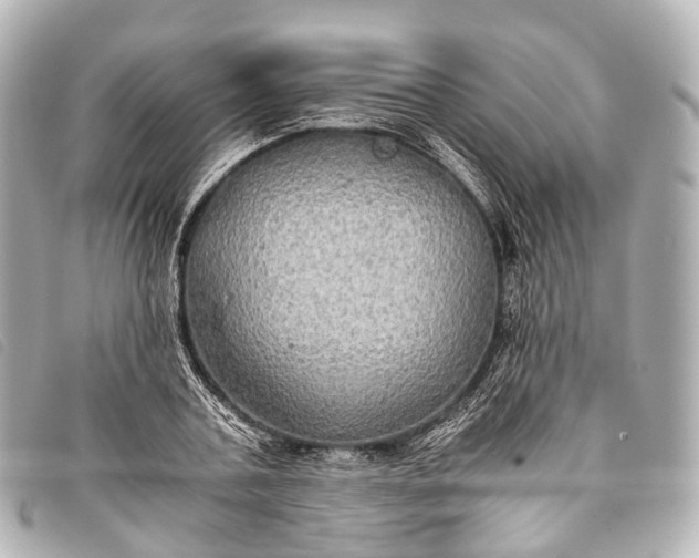 X0000093370787200710251152