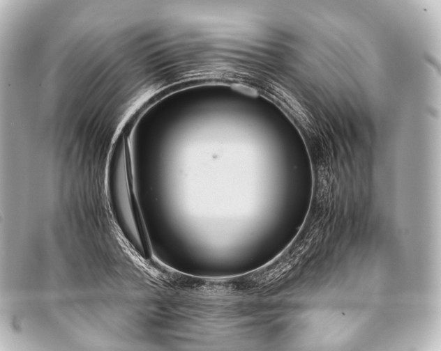 X0000093370788200710251152