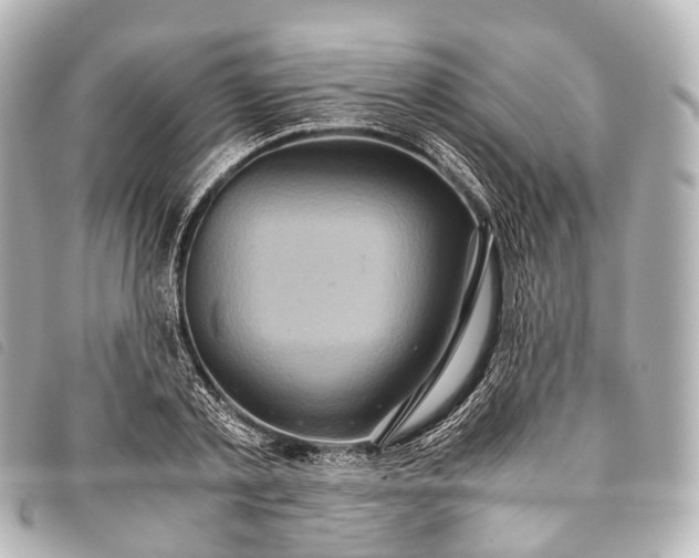 X0000093370789200710251152