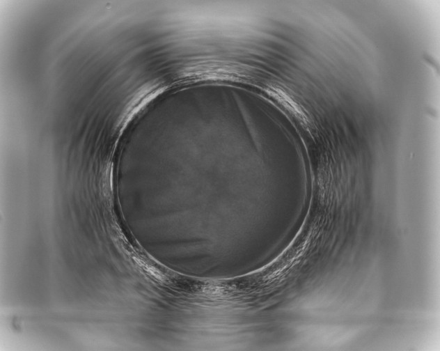 X0000093370790200710251152