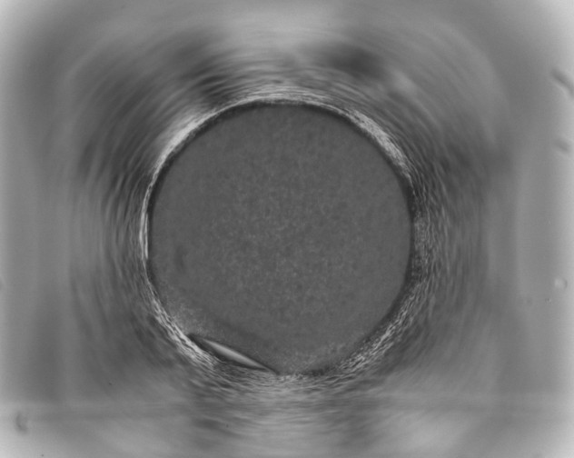 X0000093370791200710251152