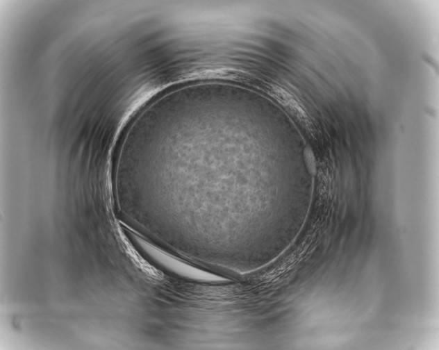 X0000093370792200710251152