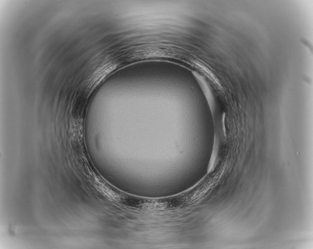 X0000093370793200710251152