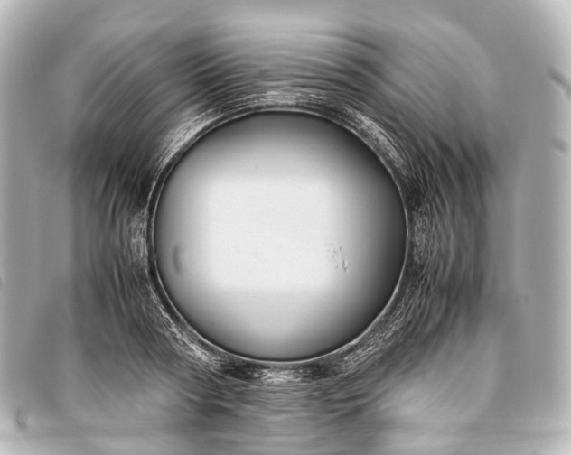 X0000093370794200710251152