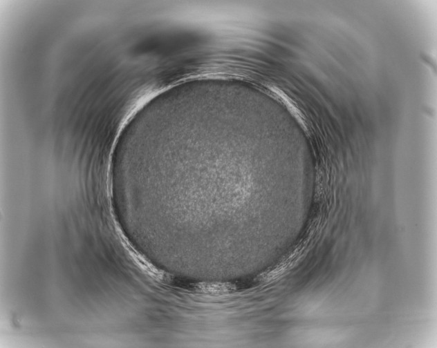 X0000093370795200710251152