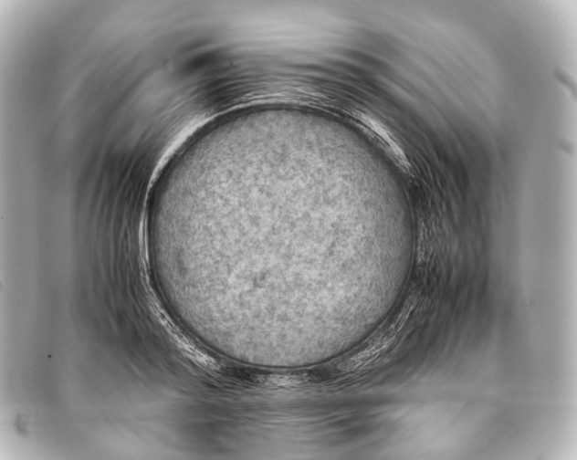 X0000093370796200710251152