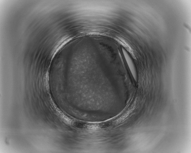 X0000093370798200710251152