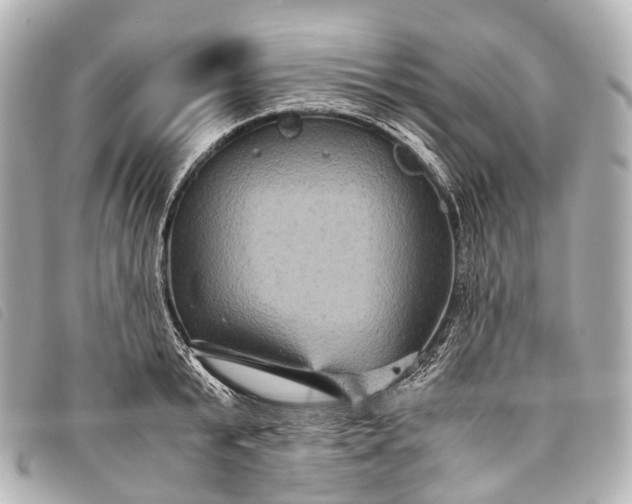 X0000093370799200710251152