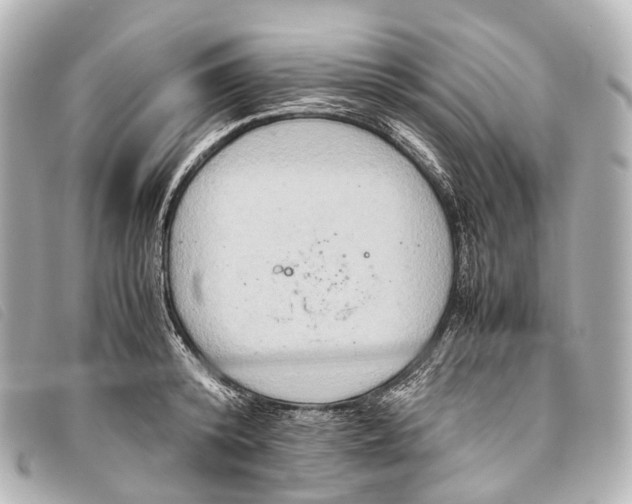 X0000093370800200710251152