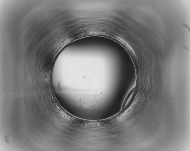 X0000093370801200710251152