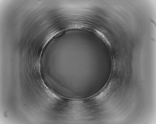 X0000093370802200710251152