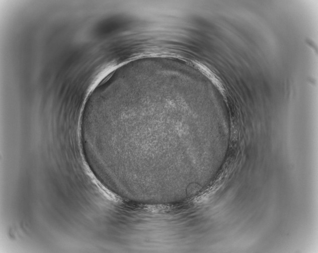 X0000093370803200710251152