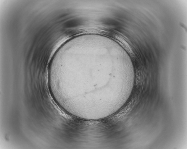 X0000093370804200710251152