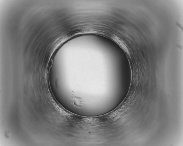 X0000093370805200710251152