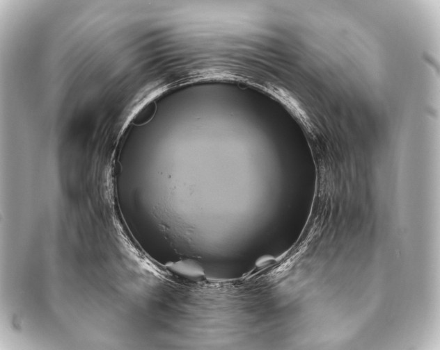 X0000093370806200710251152