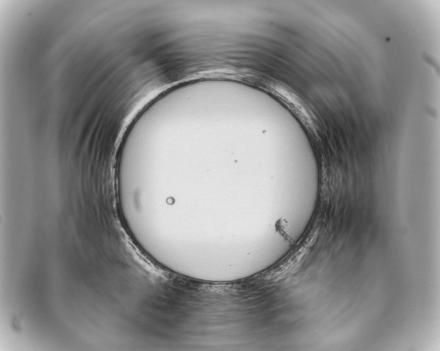 X0000093370808200710251152