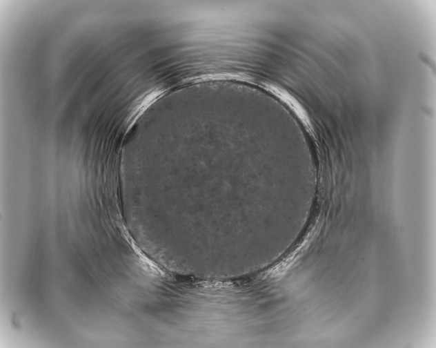 X0000093370809200710251152