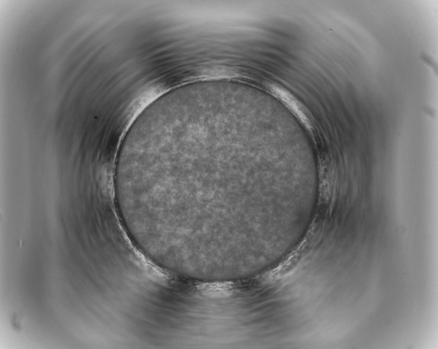 X0000093370810200710251152