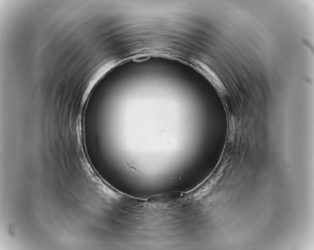 X0000093370812200710251152