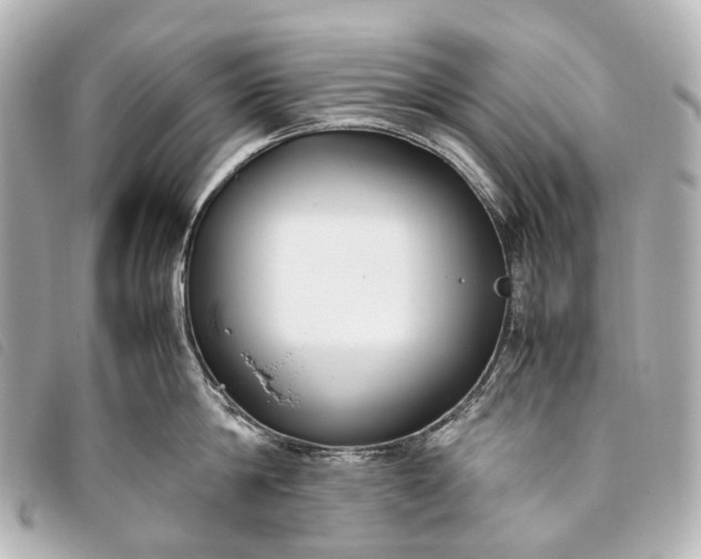 X0000093370814200710251152