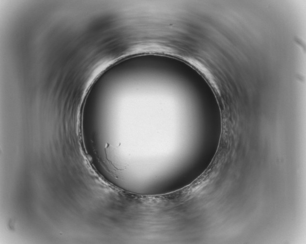 X0000093370815200710251152