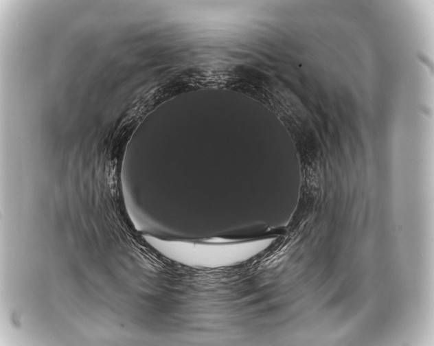 X0000093370818200710251151