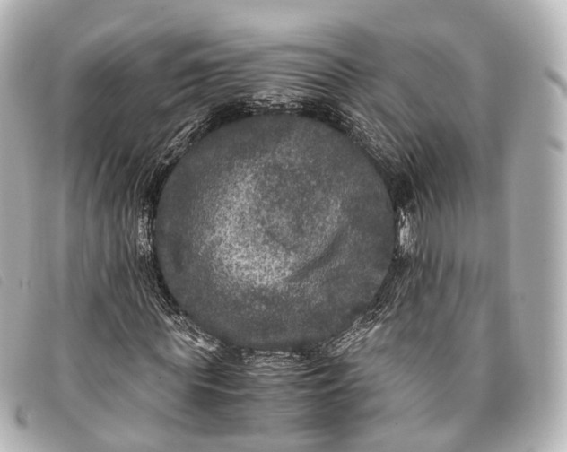 X0000093370819200710251151