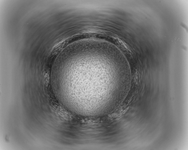 X0000093370821200710251151