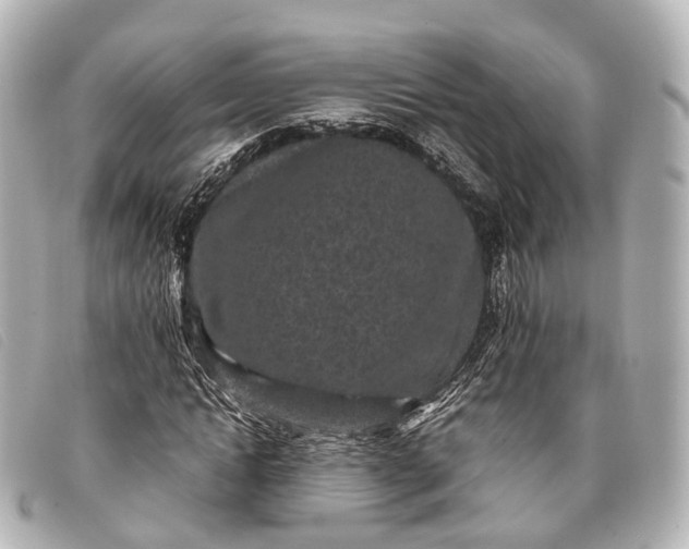 X0000093370822200710251151