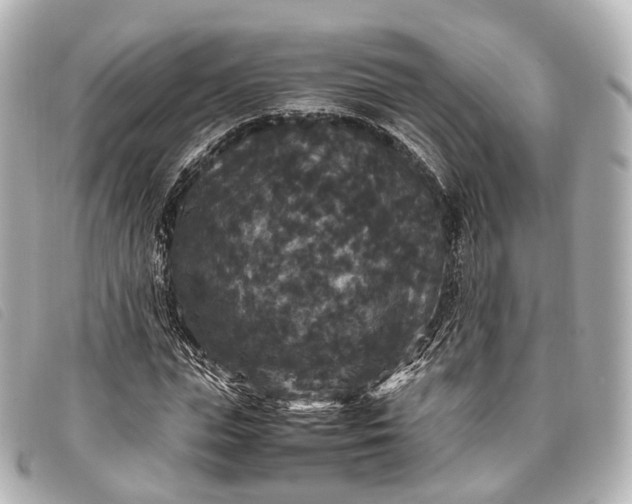 X0000093370823200710251151