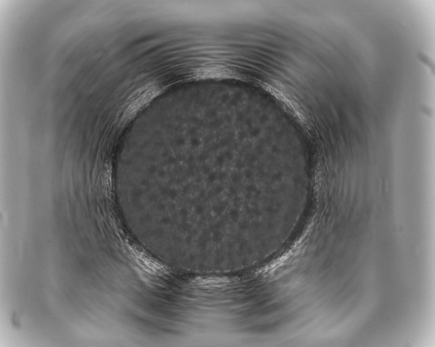 X0000093370825200710251151