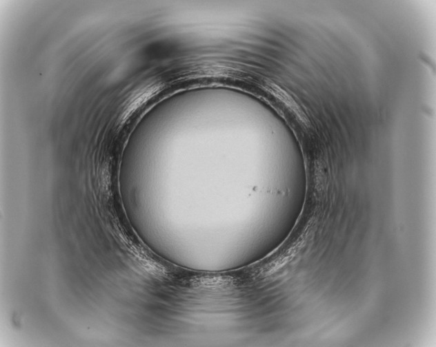 X0000093370826200710251151