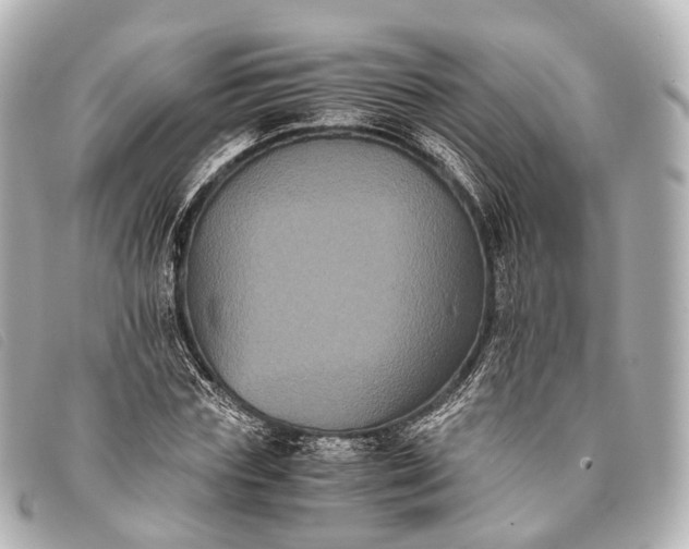 X0000093370827200710251151