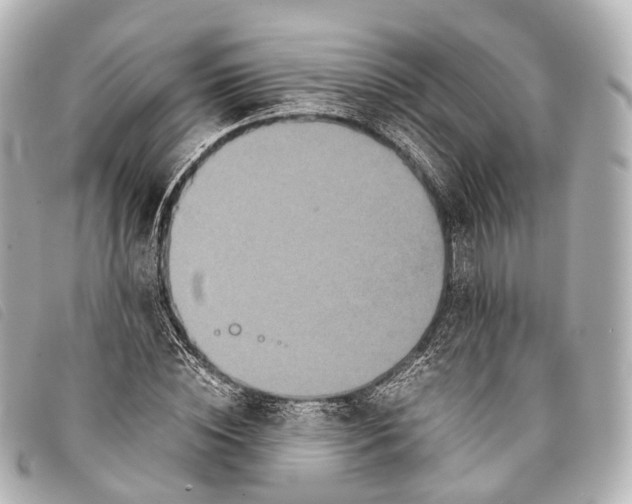 X0000093370828200710251151