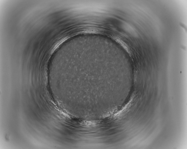 X0000093370829200710251151