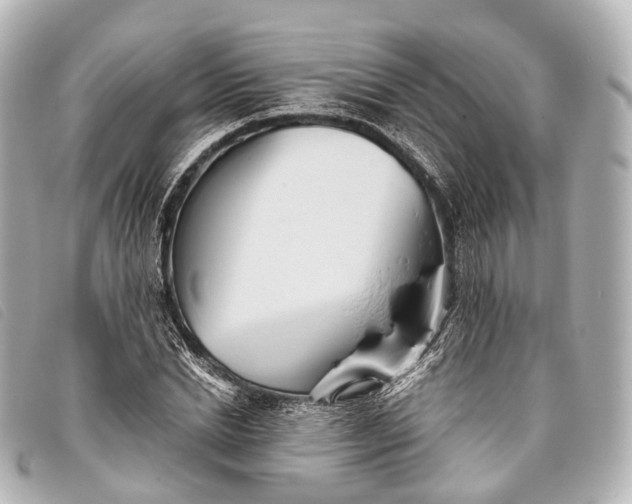 X0000093370830200710251151