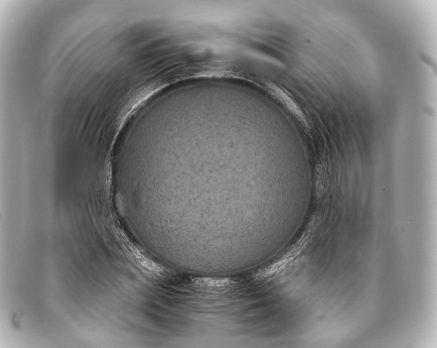 X0000093370831200710251151