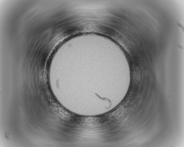 X0000093370832200710251151